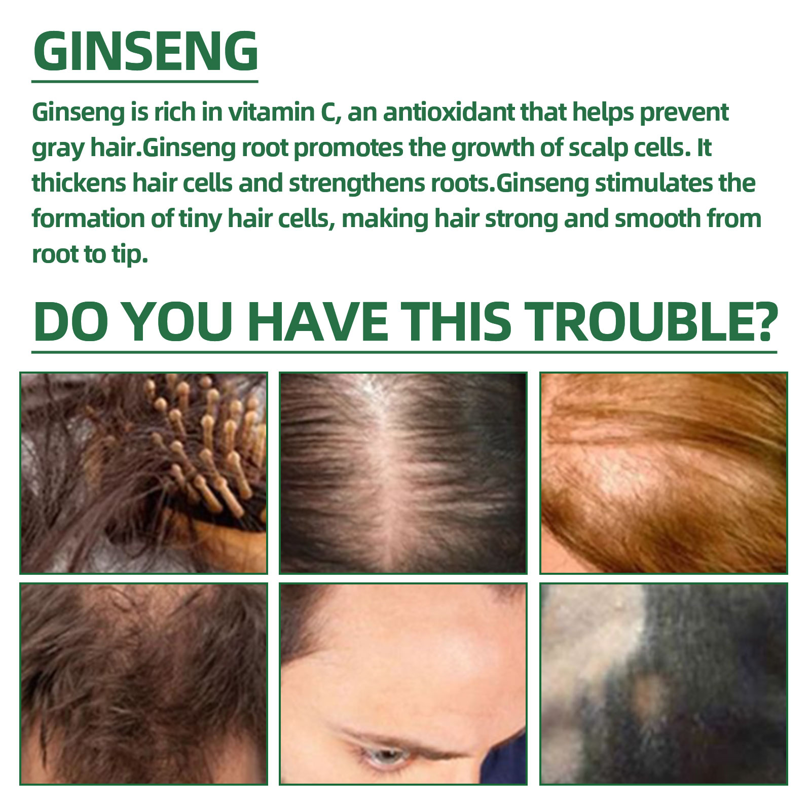 Naturalny ziołowy żeń-szeń Spr – Hair Care Ginseng recenzja i cena